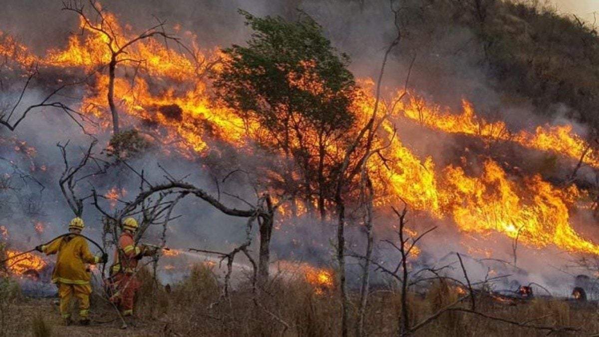 Incendios en la Patagonia. Fuente: (Twitter)