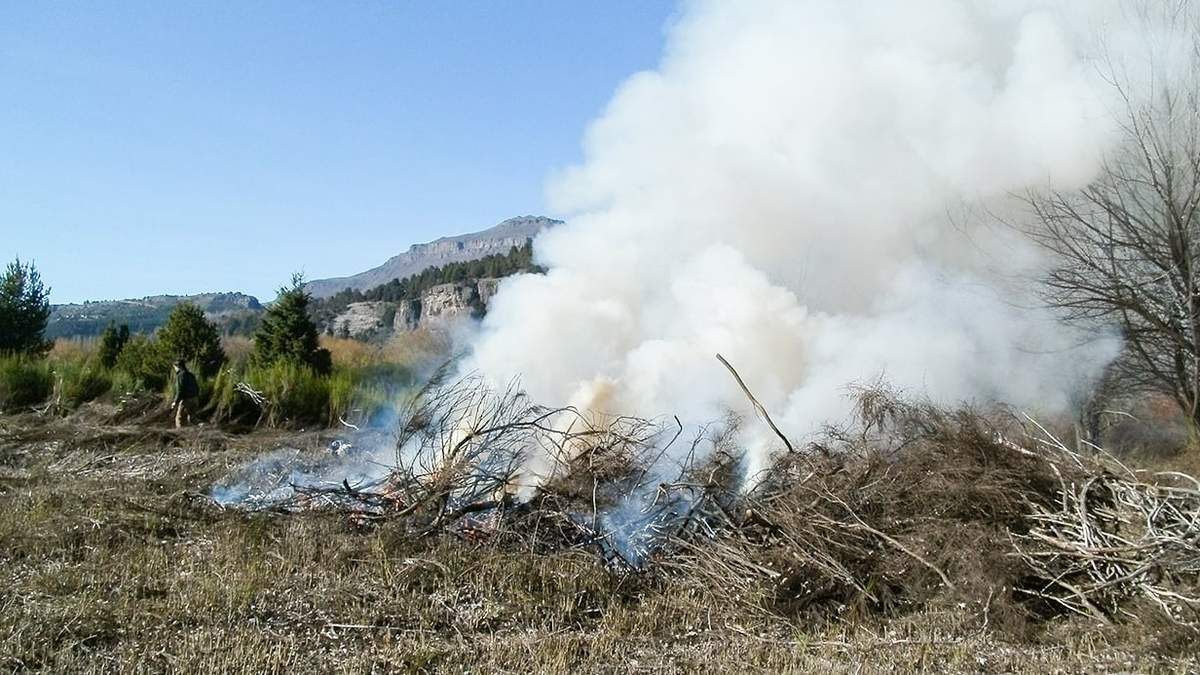 El Ministerio de Industria y Producción habilitó la quema de residuos forestales. Fuente: (Twitter)