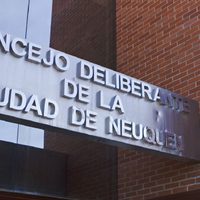 Volvió a ingresar el proyecto que busca garantizar la vivienda a mujeres en riesgo de violencia