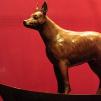 "Xolos, compañeros de viaje" en el Museo del Carmen