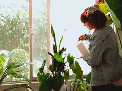 Si te acabás de mudar, esta es la planta que no puede faltarte, según el feng shui