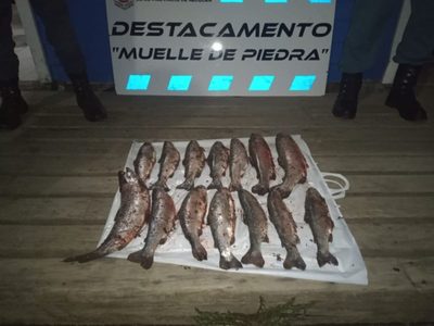 Los atraparon mientras transportaban truchas pescadas furtivamente en Villa La Angostura
