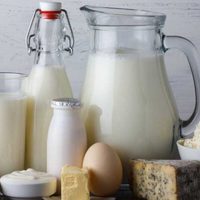 Para estar saludables, hay que consumir medio litro de leche por día