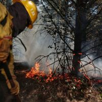 Tras la catástrofe en la Comarca Andina, Neuquén teme por nuevos incendios: qué está pasando