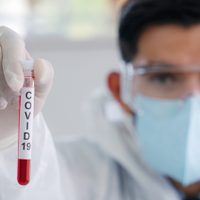 Coronavirus: la provincia de Neuquén registra 15 positivos cada 100 personas
