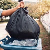 Cómo funcionarán los servicios, en la capital neuquina, durante el feriado