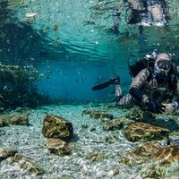 Hallan caverna con vestigios prehispánicos en el cenote Xlacah, en Yucatán