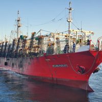 22 contagiados y dos días de espera: el drama que vivió un buque en Comodoro Rivadavia