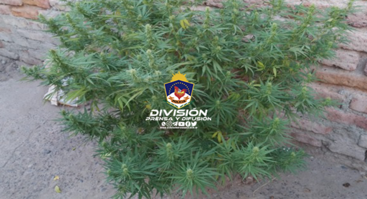 Allanamiento en dos viviendas de Centenario. Fuente: (Policía de Neuquén)