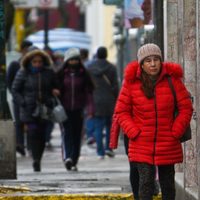 Seguirá el frío en CDMX: estas son las alcaldías con Alerta Amarilla para el miércoles