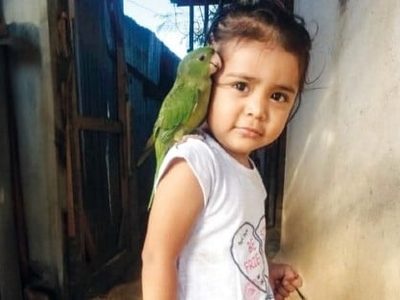 El caso de la niña Sofía y el desinterés de las autoridades por la desaparición de migrantes