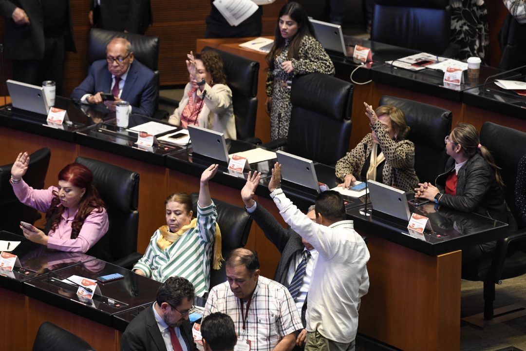 brazo FOTO Octavio Gómez