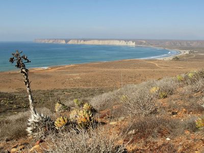 Organizaciones alertan sobre riesgos ambientales de megaproyectos en Golfo de California