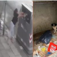 Una mujer fue captada tirando a su perro a la basura