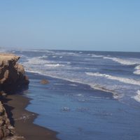 Sorpresa en las aguas de Las Grutas: conocé nuevas imágenes impactantes