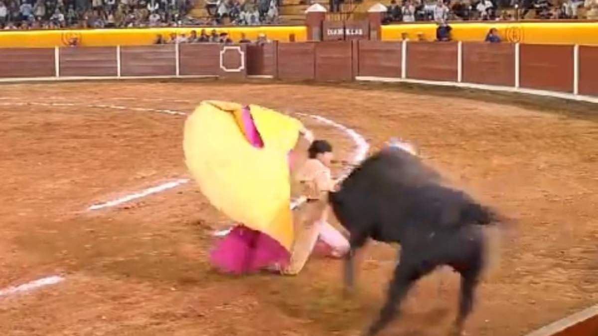 Momento de la cornada