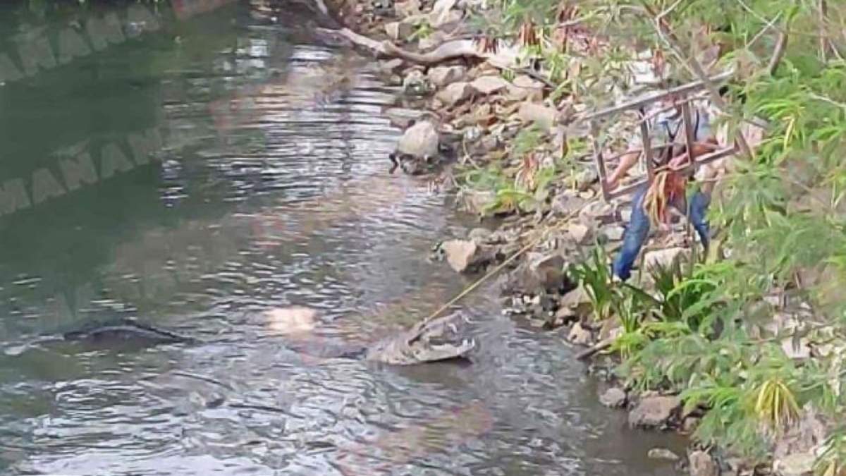 El ataque ocurrió en la Laguna del Carpintero en Tampico, Tamaulipas