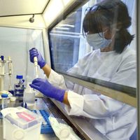 Este país de Sudamérica desarrolla una vacuna para las variantes del coronavirus Delta y Gamma