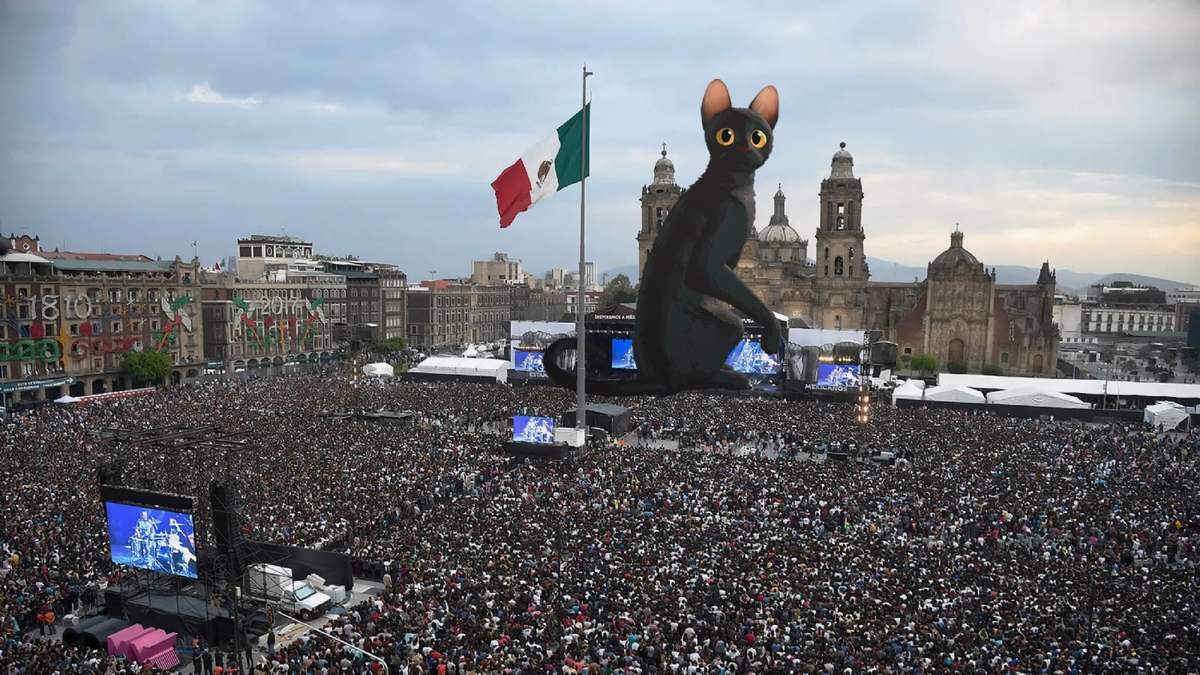 La imagen compartida por el director de Flow