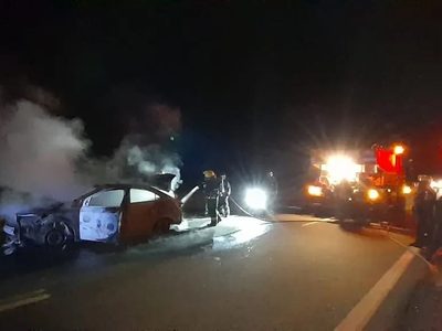 Un adulto mayor embistió un ciervo colorado y el vehículo se prendió fuego