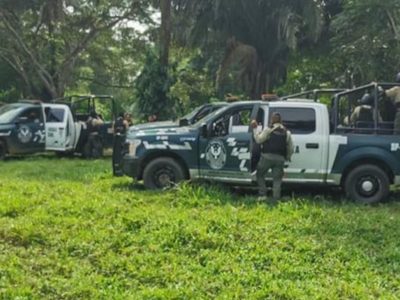 Hallan ocho fosas clandestinas en Playa Vicente, Veracruz