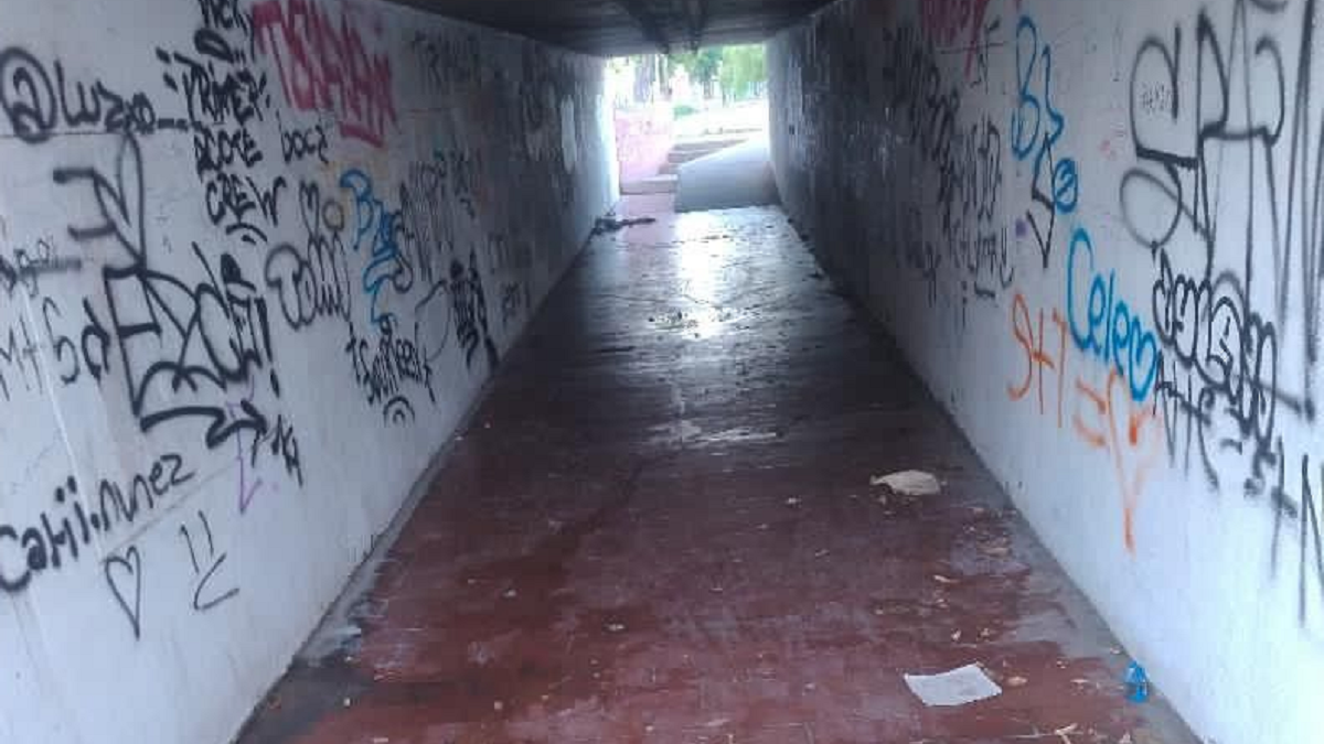 Vecinos preocupados por el estado del pasaje.