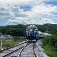 Senado aprueba reformas secundarias de la Ley Ferroviaria