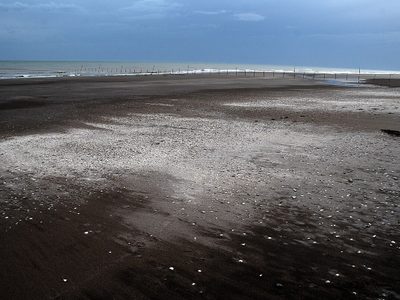 Playa y tranquilidad: te contamos qué lugares podés visitar en Pehuén Co