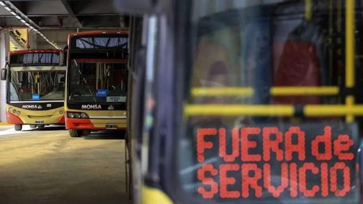 Colectivos. Fuente: (X)