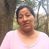 Giro en el caso Loan: la tía confesó que se trataría de un accidente