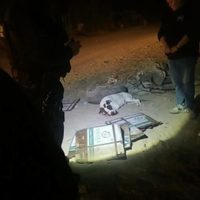 Perro muere en Sonora después de que menores de edad le arrojaron pirotecnia en el hocico