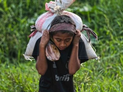 El 10% de los niños de 5 a 17 años trabaja para aliviar la pobreza: Redim