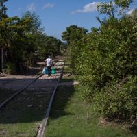 AMLO valora expropiar terrenos a especuladores para el Tren Maya: “no nos van a chantajear”