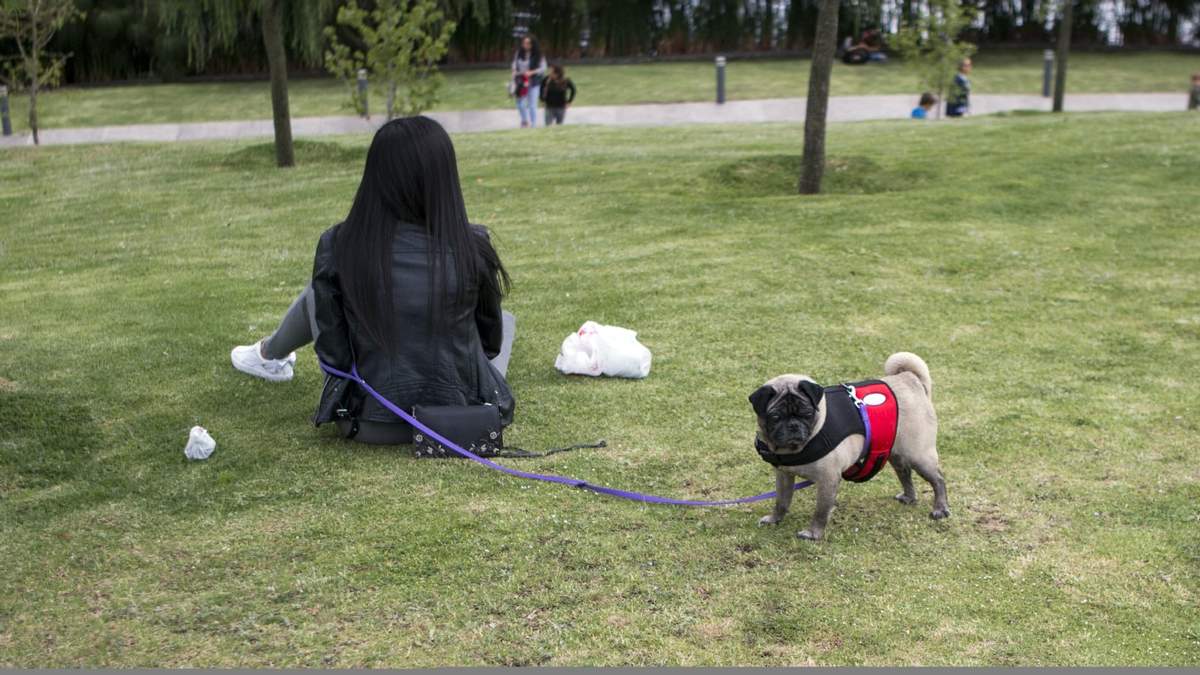 Una mujer y su perro en la CDMX
