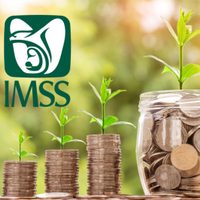 IMSS: ¿Quién puede solicitar el retiro anticipado y cuáles son los requisitos?