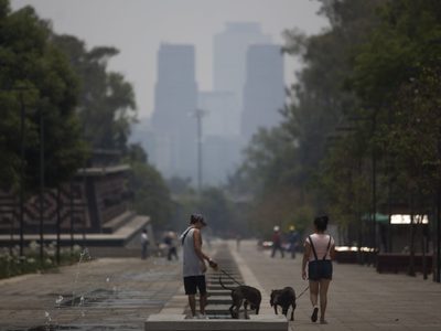 Vivir en un medio ambiente sano, sin riesgos, limpio y sostenible es un derecho humano: ONU