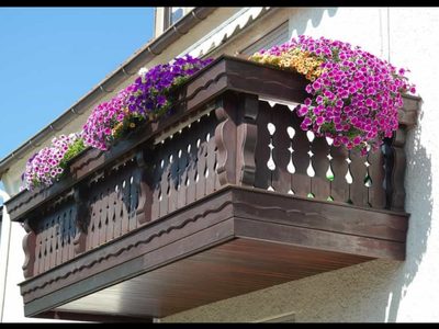 La planta perfecta para balcones: más colorida que la lavanda y casi sin mantenimiento