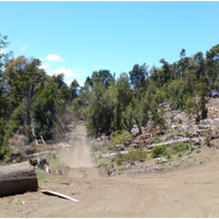 La Cooperativa de vivienda que recibió una millonaria multa por desmontar bosque nativo quiere disculpas por dañar su imagen