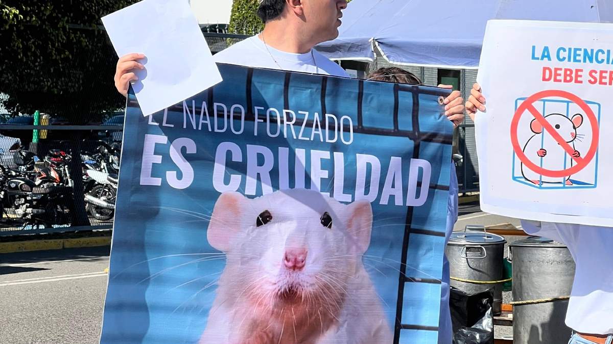 Protesta por crueldad animal