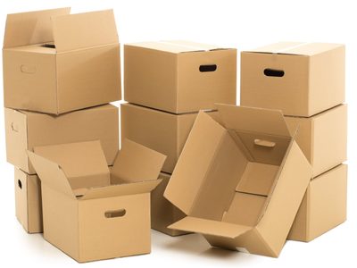 Con solo 1 caja de cartón: creá lo más útil para beneficiar a tus plantas