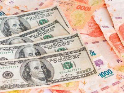 Según un exdirector del FMI, el Organismo no avalaría una dolarización en Argentina