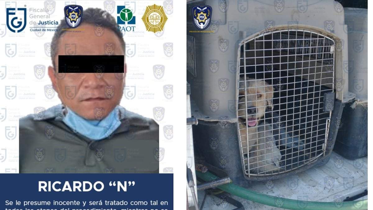 Ricardo "N", asesino de perros