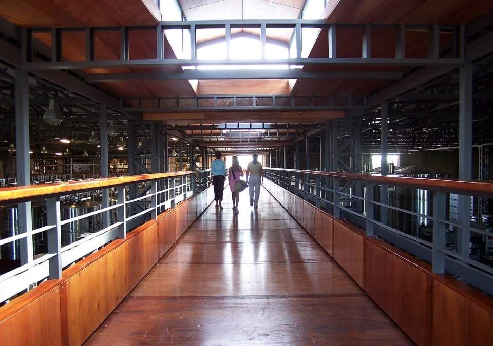 Bodega fin del mundo en el mercado internacional. Fuente: (Twitter)