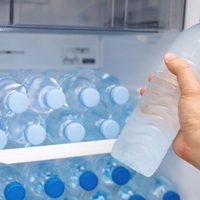 Ese tesoro que tirás sin pensar: mirá lo que podés hacer con una botella de agua y un poco de reciclaje