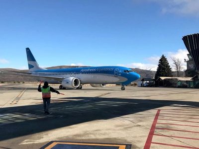 ¡Insólito! Un enjambre de abejas impidió la partida de un vuelo humanitario de Aerolíneas Argentinas