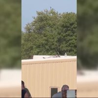 Aseguran que atacante de Trump fue visto por el Servicio Secreto 20 minutos antes de que disparara