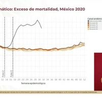 Reportan 122 mil muertes más de las estimadas para este 2020