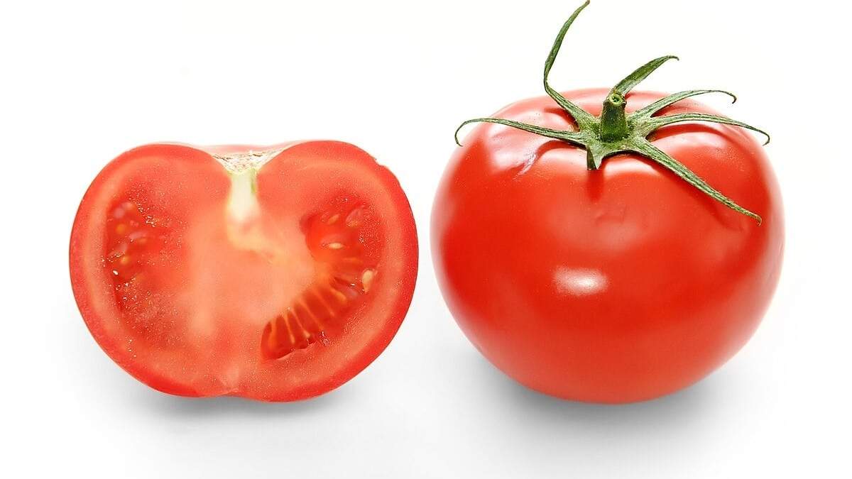 Semillas de tomate. Fuente:(X).