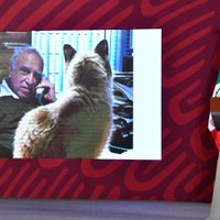 AMLO se defiende y aclara que la oficina desordenada es de su asistente Laurita
