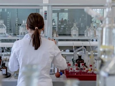 Consumo regular de arándanos puede reducir el riesgo de demencia: Estudio